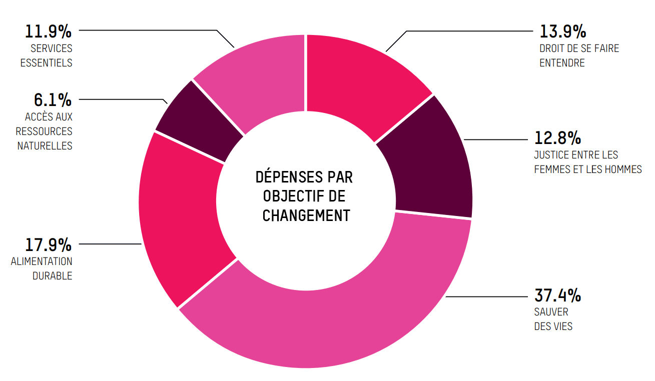 Expenditure Oxfam chart by change goal 2017-2018