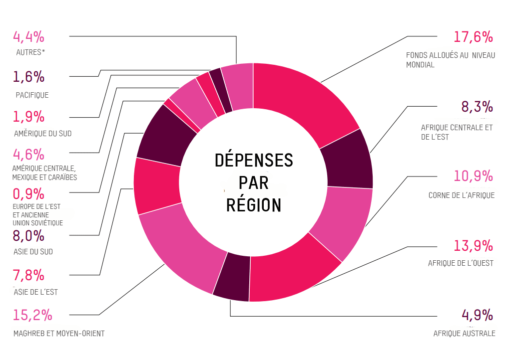 Oxfam expenditure per region pie chart 2017-2018