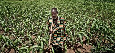 A farmer poses in his field in Burkina Faso