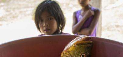 Two indigenous girls watch a lunch is prepared, Mangalito village, Bolivia