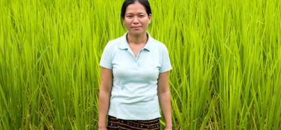 Phatthida Chanmany, 35 by a TDK8 rice field in Namai Village, Feung District, Vientiane Province, Laos. Credit: Tessa Bunney/Oxfam 