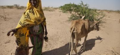 Habodo Gele age 35, with her last remaining cow in Bisle, Siti zone, Ethiopia