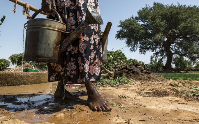 In the Central North region of Burkina Faso, water has become a scarce resource. 