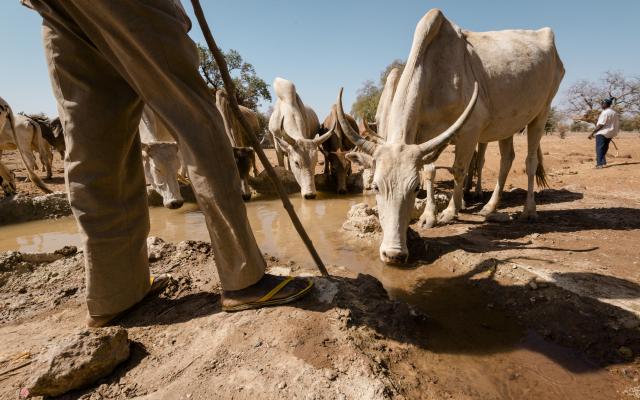 In the Central North region of Burkina Faso, water has become a scarce resource. 