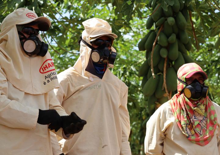 Food workers in Brazil