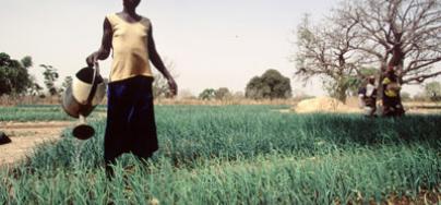 burkina-woman-agriculture-1583-400x267.jpg