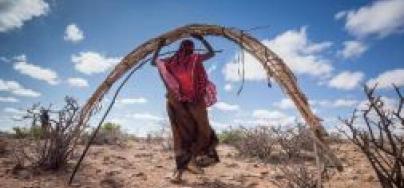 A woman carries the basic materials to construct her house again at a new location. Pastoralists are resettling in the Garadag district after a 60km journey on a truck with their animals. Somaliland, March 2017. Photo: Petterik Wiggers/Oxfam