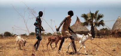 early_marriage_in_south_sudan.jpg