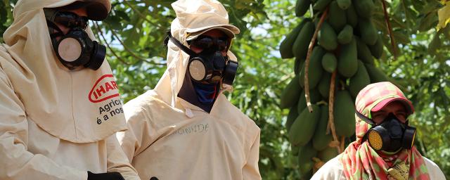 Food workers in Brazil