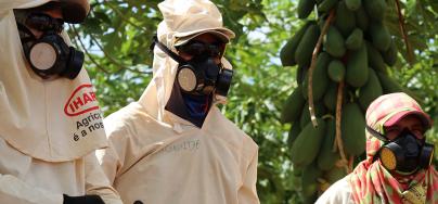 Food workers in Brazil