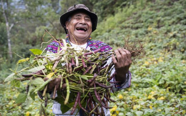 Jesus Ramírez is proud of his harvest of local beans, Todos Santos Cuchumatanes, Guatemala. 