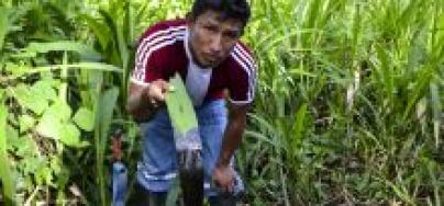 Teddy, l’emblématique et fervent chef de la communauté quechua de Nuevo Andoas, un village péruvien de la jungle amazonienne. 