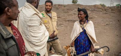 Goats being sold