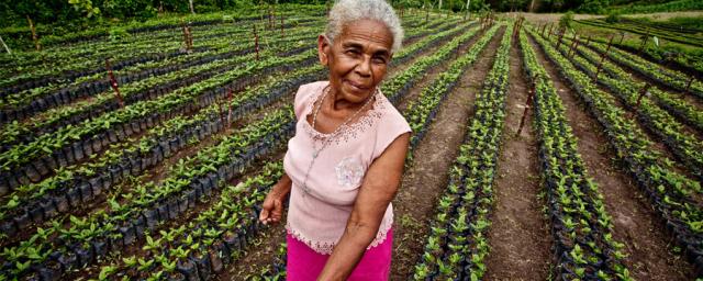 Boosting gender equality in land tenure would empower women and provide them with greater influence in making decisions regarding land use. In the image: Luz Evelia Godines Solano, coffee producer from Nicaragua.