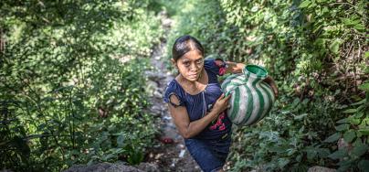 Food insecurity caused by climate change is generating forced displacement in the “Corredor Seco”region, Guatemala.