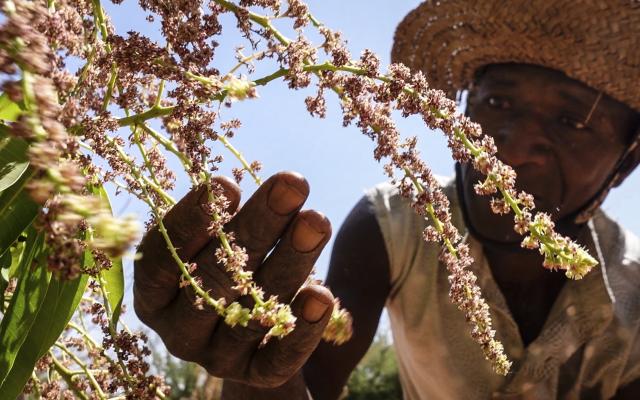 Inoussa (35) is a farmer in the village of Namsigui, Burkina Faso. 