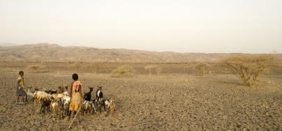 Herdsmen with goats, during a drought in Okarey-af, Afar region, Ethiopia. Photo: Nick Danziger