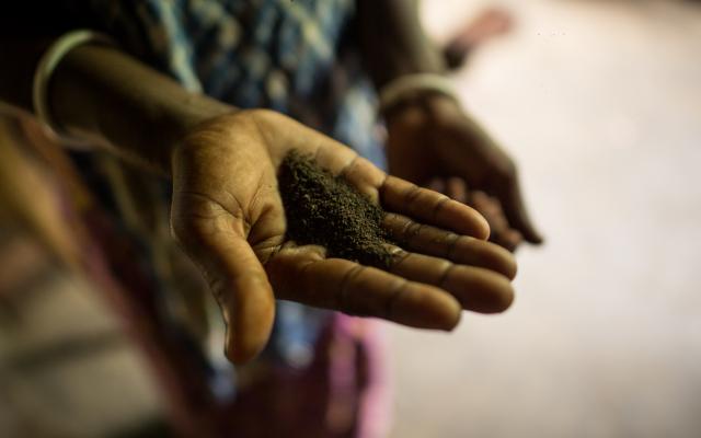 Tea. Rather tea dust. A woman shows the tea that the tea workers get as a monthly ration. Photo: Roanna Rahman/Oxfam