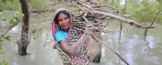 Nurjahan (45) collecting wood to sell for food after cyclone Bulbul. Gabura, Shamnagar. Photo: Fabeha Monir/Oxfam