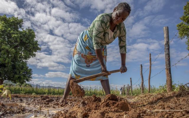 Cyclone Eline (2000) destroyed Sarah’s crops, but thanks to the rehabilitation of the Nyanyadzi irrigation scheme and improved water flow, they were protected during cyclone Idai (2019). 