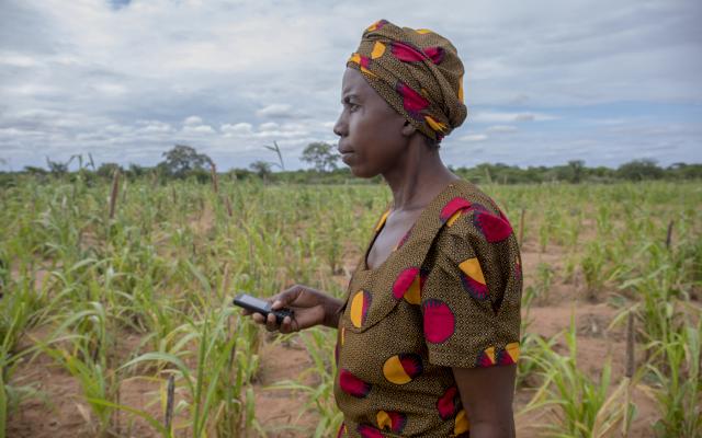 Sifiso reads a text message detailing weather conditions in her area. 