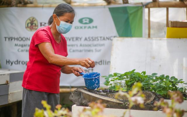 Lilia is member of Quigona Hydroponically-Grown Seedlings, a small organization of mostly women farmers in her village. 