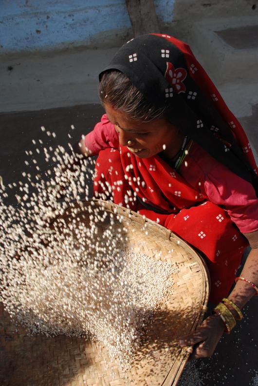 ogb_27653_india_agriculture_woman.jpg