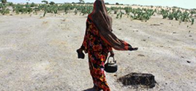 Successive droughts in Chad‟s Bahr el Gazel region have reduced food and pasture. Climate change is set to make survival even more difficult.Photo: Ella Dickinson/Oxfam