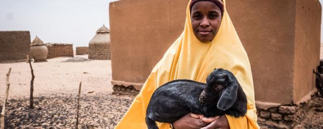 Au Niger, les éleveurs nomades ont perdu la majeure partie de leur troupeau à cause des sécheresses. L’AREN, un partenaire d’Oxfam, a donné des chèvres à Namata afin qu’elle puisse subvenir aux besoins de sa famille. Photo : Tom Saater/Oxfam