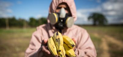 Pedro, fruit worker in Brazil