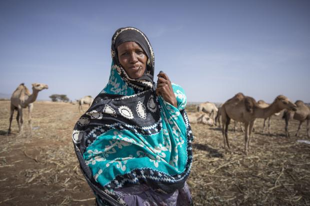 Ashra with her camels, Somali region, Ethiopia.