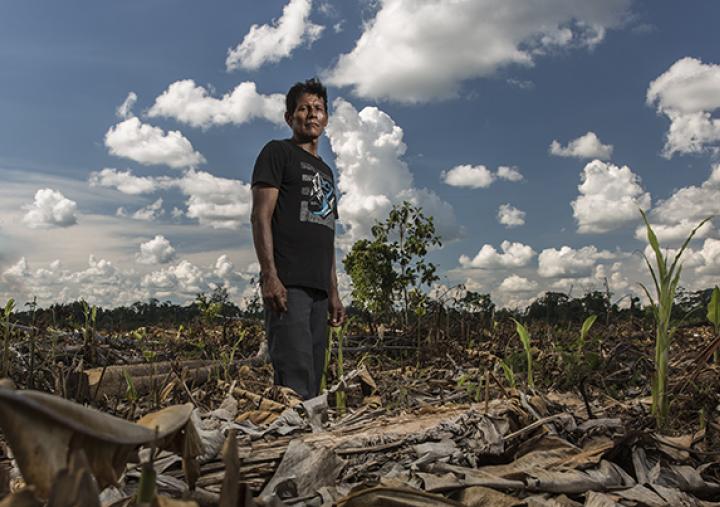 The indigenous Shipibo community of Santa Clara de Uchunya, in the Peruvian Amazon, is facing invasion of its ancestral lands by corporate oil palm plantations and land traffickers. 7,000 hectares of forest have been destroyed. Photo : Diego Pérez/Oxfam