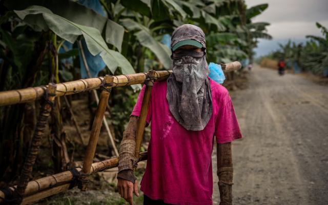 Banana farmers in Philippines