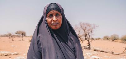 Mareya Ibrahim, stands among the carcasses of her livestock. Of the fifty animals she owned, she now has 7 remaining.