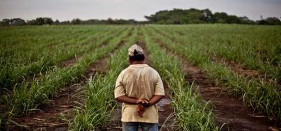 Farmers and workers capture a fraction of the value of what they produce, yet food and beverage companies’ revenues continue to skyrocket.