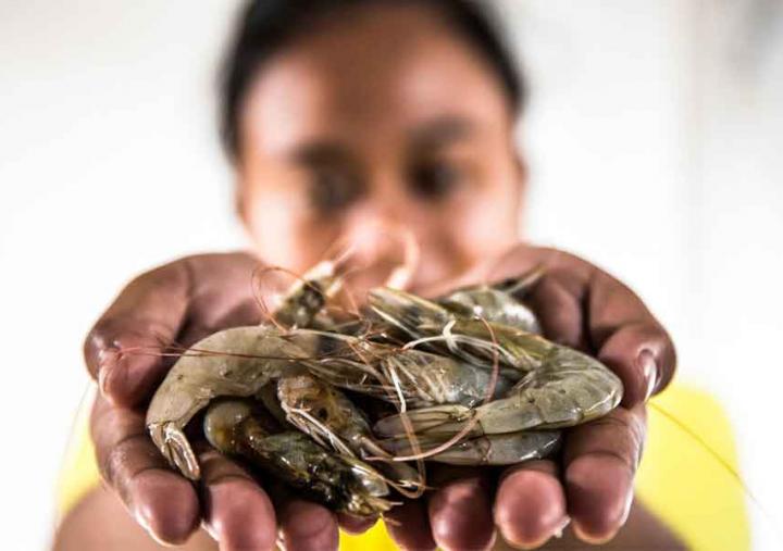 What are supermarkets doing to protect the people who produce our food? Photo: Adrian Mulya/TheSustainable Seafood Alliance Indonesia