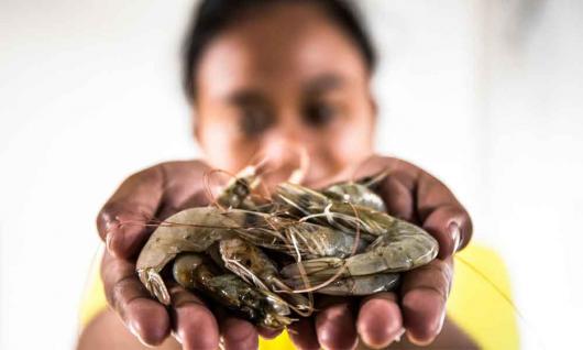 ¿Qué están haciendo los supermercados para proteger a las personas que producen nuestros alimentos? Foto: Adrian Mulya / The Sustainable Seafood Alliance Indonesia