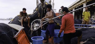 Seafood workers in Thailand