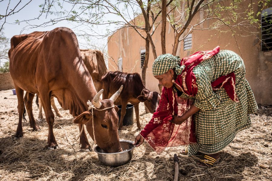 onl_16911_niger_milk_factory.jpg